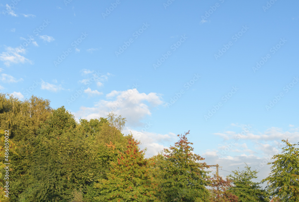 Autumn landscape. Trees that change color. Blue sky, white clouds. nice weather