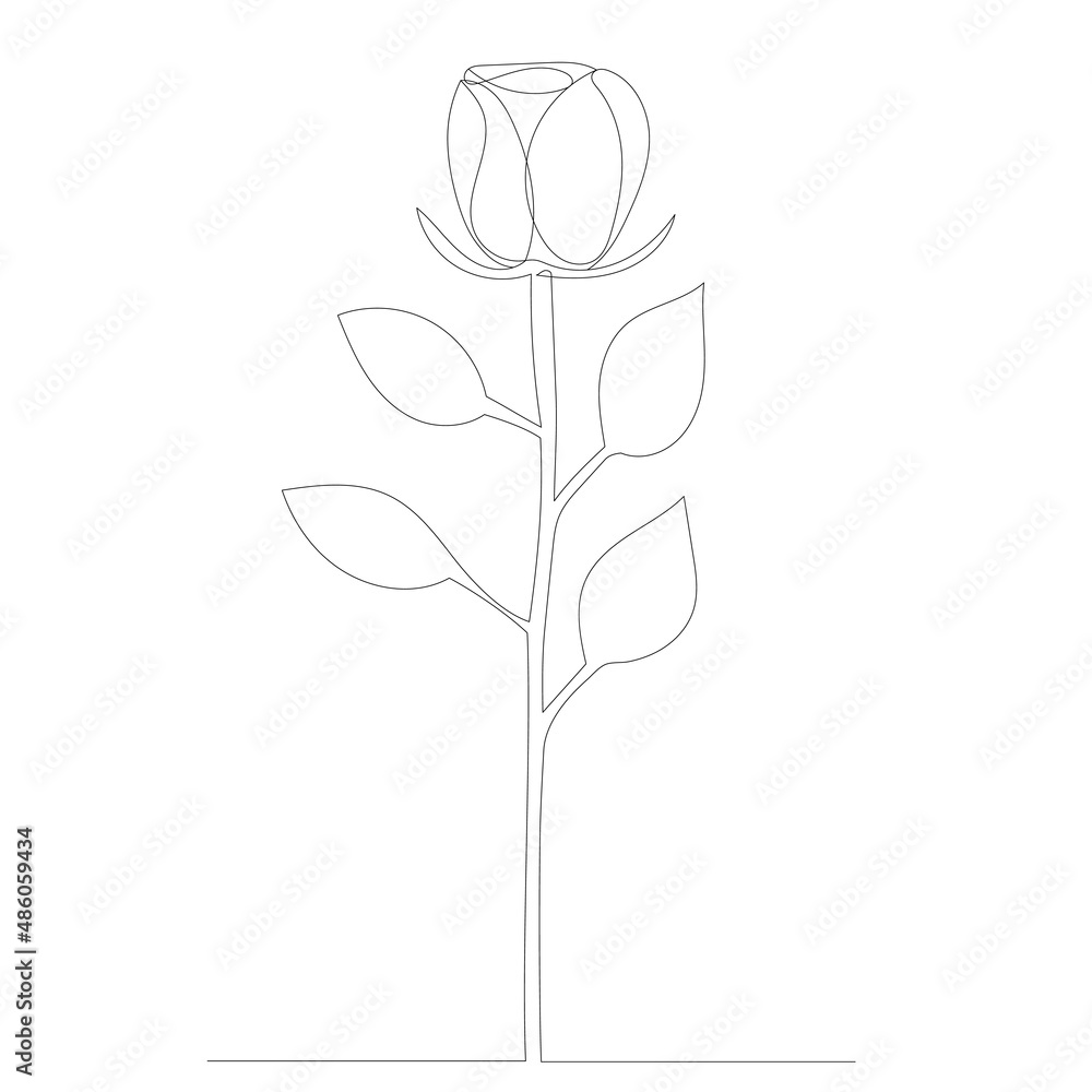 rose contour one line sketch rose contour one line sketch