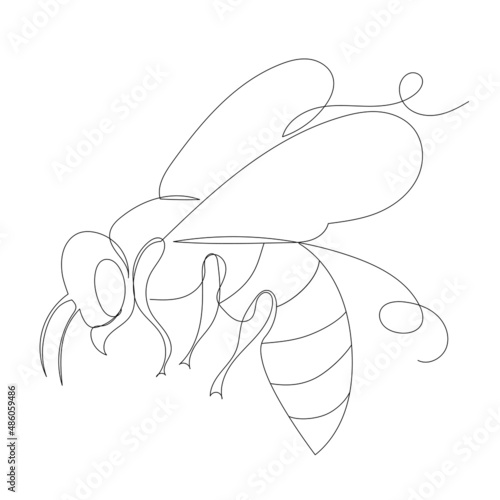 bee contour one line sketch