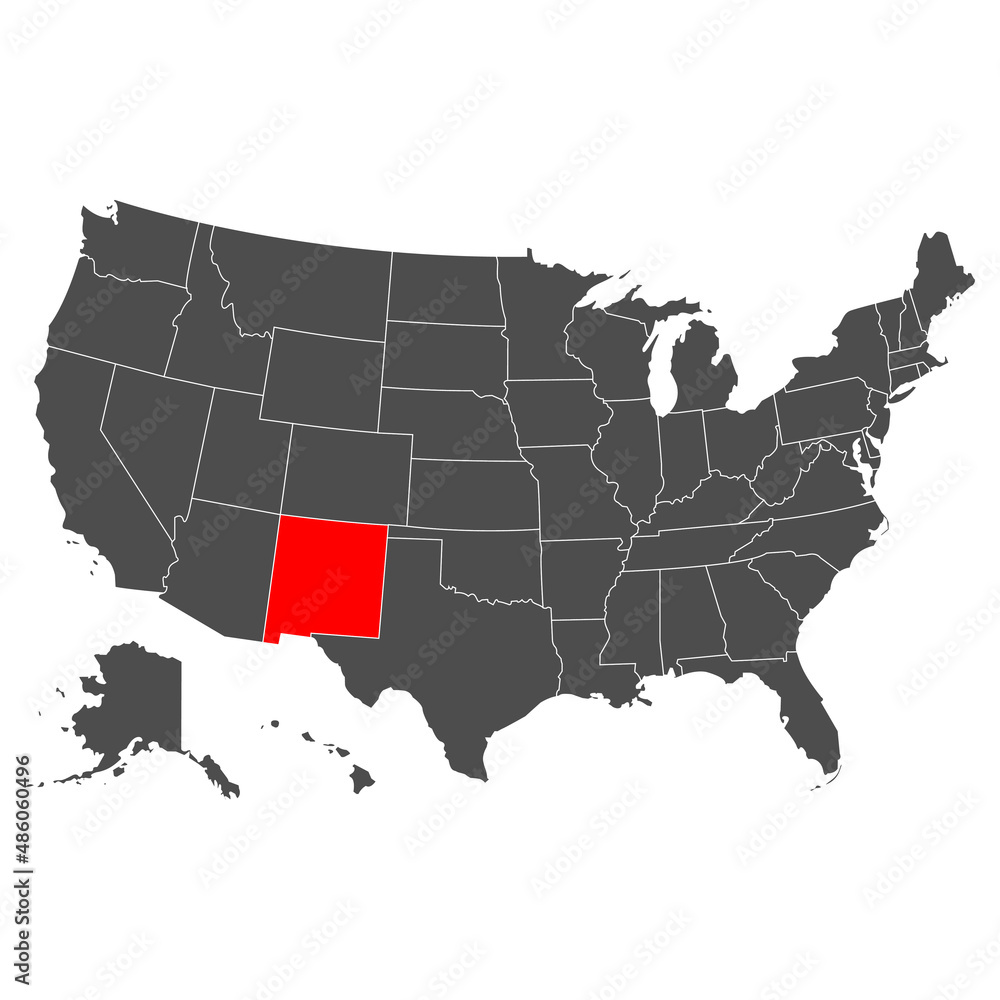 Vector map of New Mexico. High detailed illustration. Country of the United States of America. Flat style. Vector