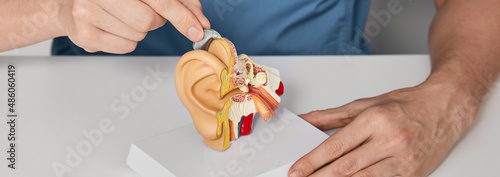 Treatment of deafness for hearing impaired with help of hearing aids. Audiologist inserting BTE hearing aid on ear anatomical model