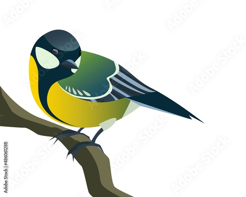 Canvas-taulu Colorful vector illustration of tomtit in flat style isolated on white backgroun