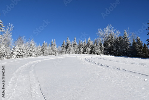 Snowmobile tracks under a blue sky, Sainte-Apolline, Québec, Canada