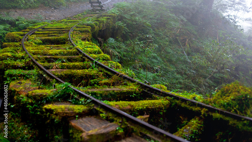 Taiwan, Yilan County, Taiping Mountain, Jianqing Old Road, famous, tourist attraction