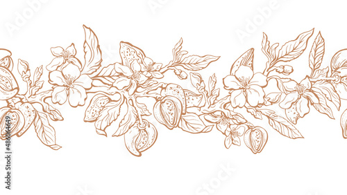 Almond texture print. Vector border. Drawn sketch