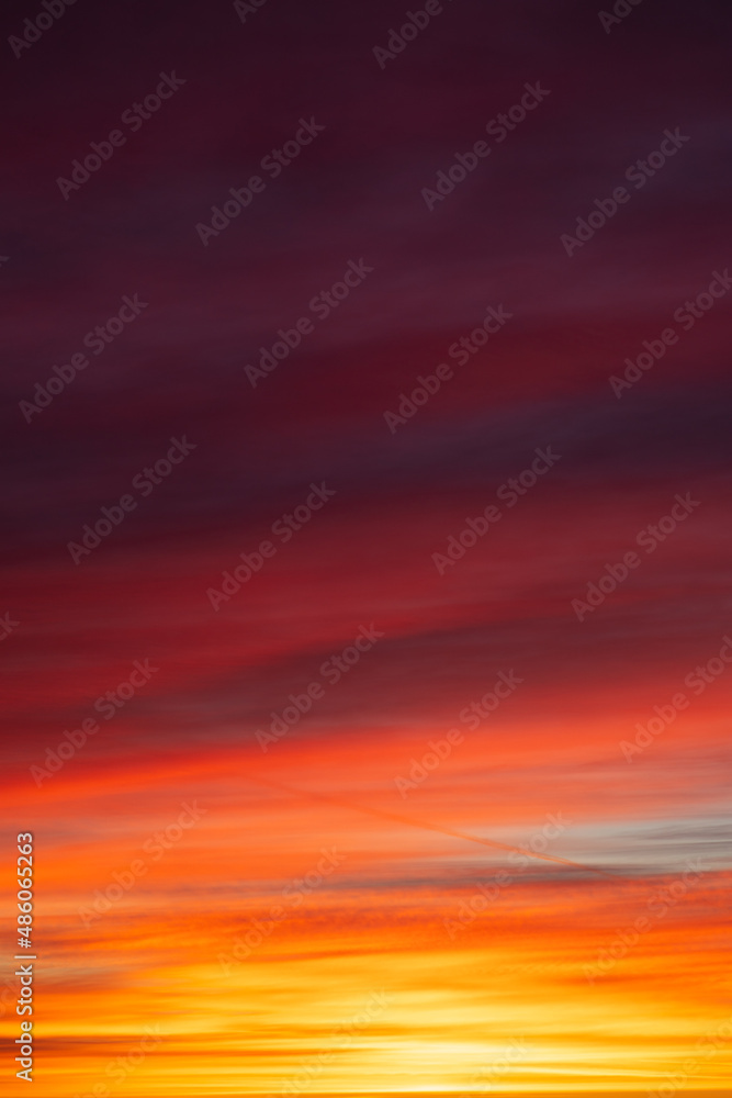 Sunset over the forest, red, yellow, purple cloud