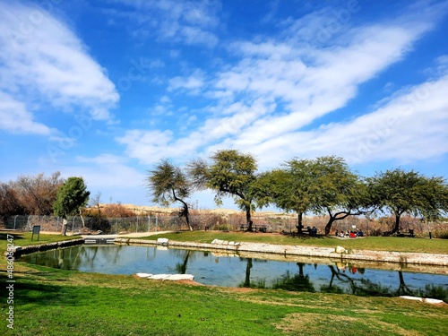 lake in the park