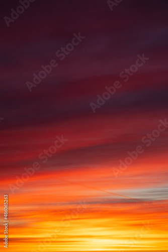 Sunset over the forest, red, yellow, purple cloud