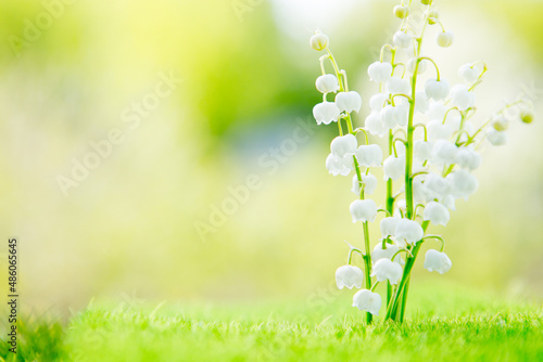 Wonderful aroma and mood of freshness. Spring flowers lilies of the valley in morning