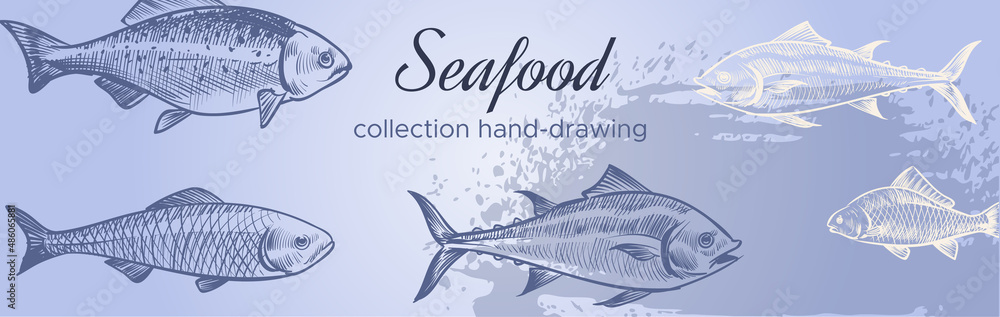 Obraz premium Seafood horizontal banner. Marine fish advertising in hand drawn style