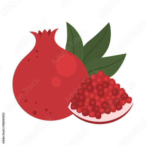 Pomegranate whole fruit and slice with garnet seeds isolated on white background. Red ripe pomegranate fruit icon for package design. Healthy food concept. Vector illustration of exotic fruits.