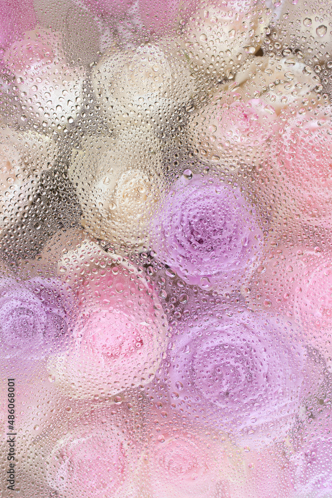 Fototapeta premium beautiful pink rose flowers through the glass with waterdrops background