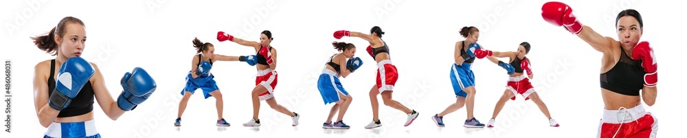 Collage. Two woman professional boxers boxing isolated on white studio background. Couple of fit muscular caucasian athletes fighting. Sport, competition Collage. Two woman professional boxers boxing isolated on white studio background. Couple of fit muscular caucasian athletes fighting. Sport, competition