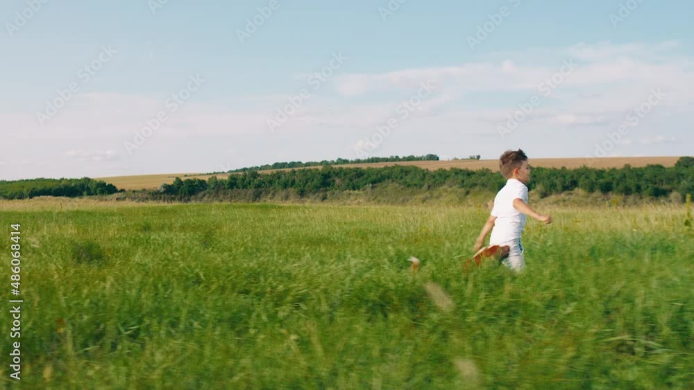 Very happy with a large smile cute boy and his best friend dog English cocker spaniel running and playing together at nature in the middle of green field. Shot on ARRI Alexa Mini. Very happy with a large smile cute boy and his best friend dog English cocker spaniel running and playing together at nature in the middle of green field. Shot on ARRI Alexa Mini.