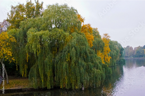 alster hamburg