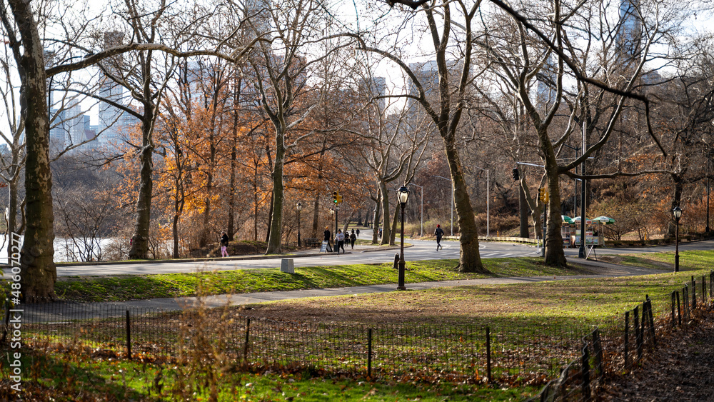 New York Central Park in winter and Fall