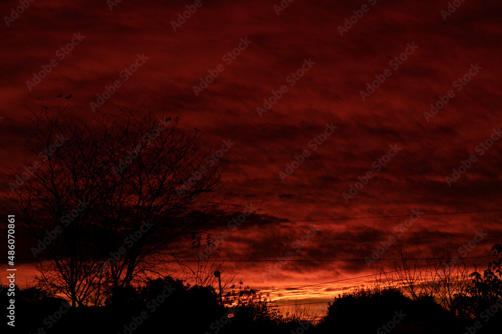 atardecer atardecer