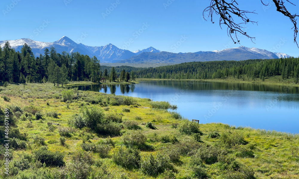 Obraz premium Beautiful landscape in the Altai mountains, Russia
