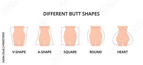 Five different butt shapes vector illustration. Human body. Female figure. Style, fashion and beauty concept