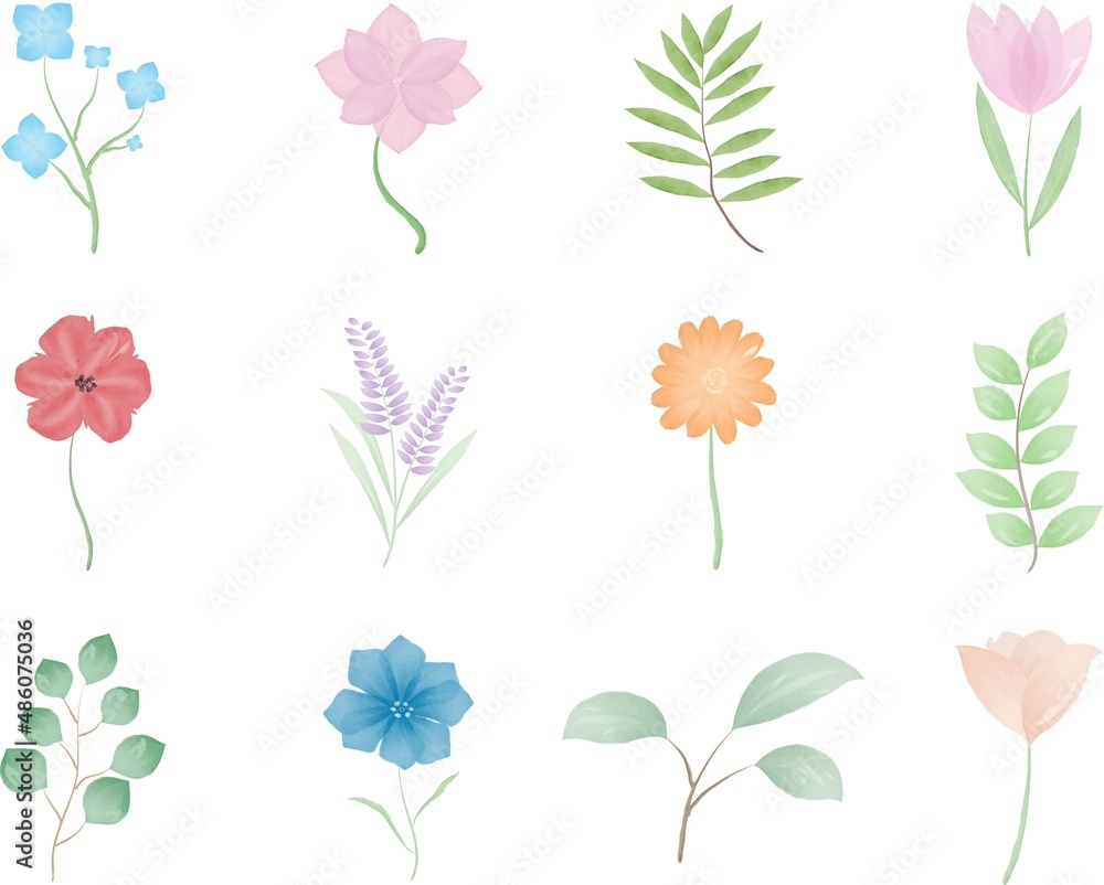 Obraz premium Set of flowers