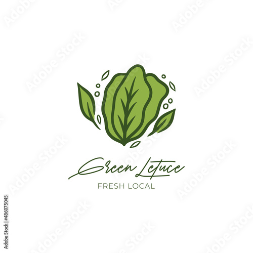 hand drawn green lettuce logo design