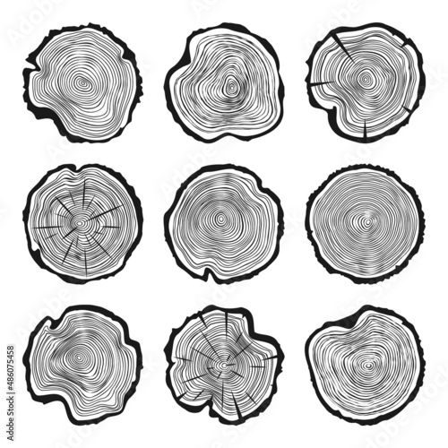 Round tree trunk cuts with cracks, sawn pine or oak slices, lumber. Saw cut timber, wood. Wooden texture with tree rings. Hand drawn sketch. Vector illustration