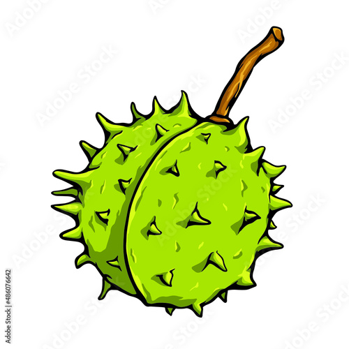 Chetsnut vector isolated. Open chestnut with thorns. Stock catoon illustration.