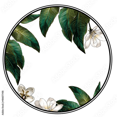 circle shaped frame surrounded by tropical plants and flowers, sketch vector graphics color illustration on white background