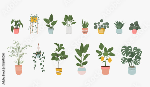 Big set of Houseplant in pot isolated.  Vector flat style illustration