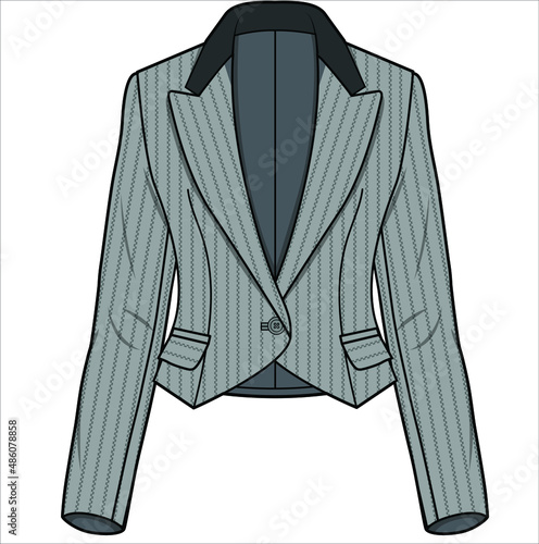 CROPPED TUXEDO WITH CONTRAST NOTCH COLLAR GRAY STRIPE BLAZER FOR WOMEN CORPORATE WEAR IN EDITORIAL VECTOR FILE