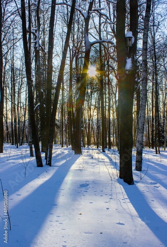 Splendor of Russian snowy winter