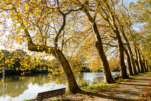 Promenade en bord de rivière tranquille avec personnage sur un banc et arbres centenaires alignés en automne. La Sèvre Nantaise à Nantes, platanes de la Persagotière. photo