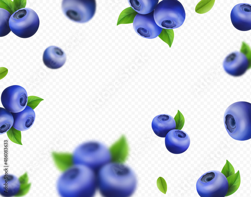 Blueberry in motion on a white background. Blue berries falling blurred effect background realistic vector