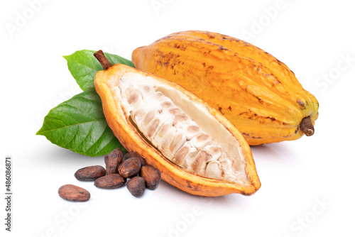 Cocoa fruit and cocoa bean isolated on white.