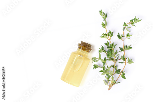 Thyme extract essential oil with fresh thyme herbs isolated on white background. Top view. Flat lay.