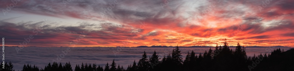 Obraz premium Canadian Nature Panorama View of Evergreen Trees on a mountain above the clouds. Dramatic Winter Sunset. Taken at Cypress Lookout, Vancouver, British Columbia, Canada. Panoramic Background