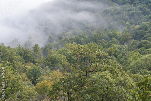Early morning mist, Shenandoah National Park, Virginia