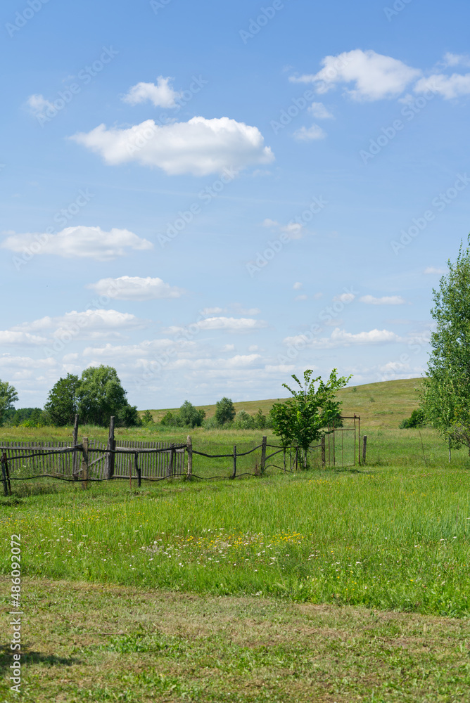 Summer landscape in the outback of Russia. Blue sky and white clouds. There is a lot of green grass and a village fence is visible.