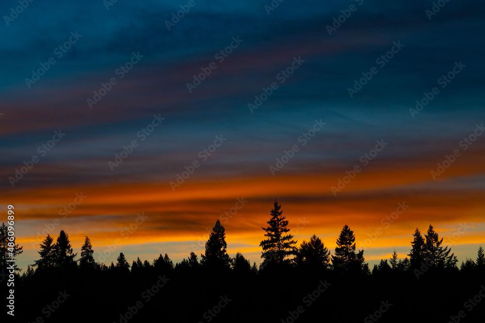 Warm  vibrant sunset with silhouette of tree tops 