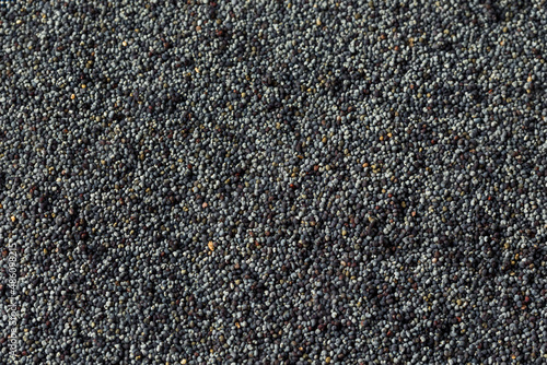 Raw Organic Poppy Seeds