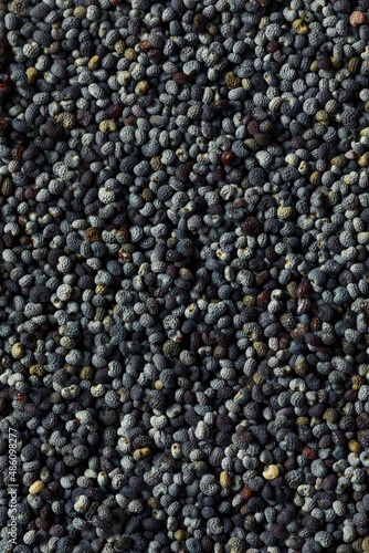 Raw Organic Poppy Seeds