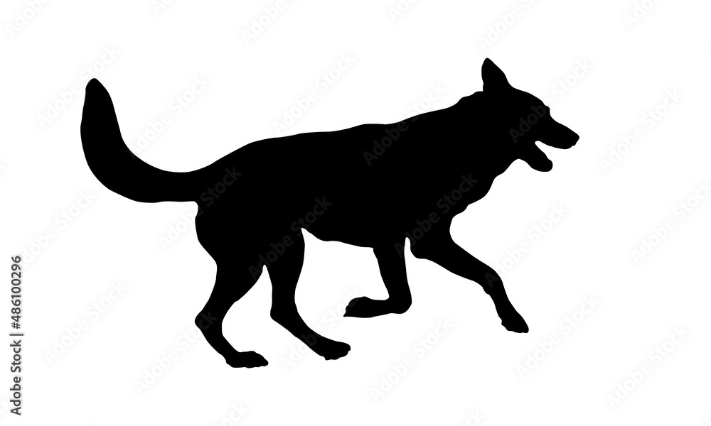 Running and jumping czechoslovak wolfdog puppy. Black dog silhouette. Pet animals. Isolated on a white background.