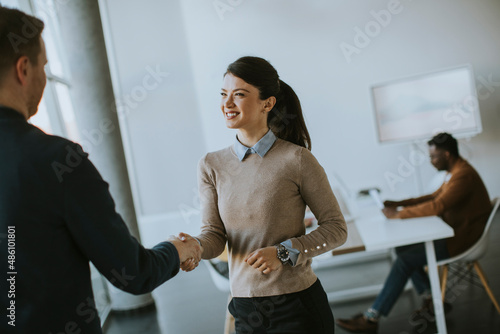 Young business partners mak...