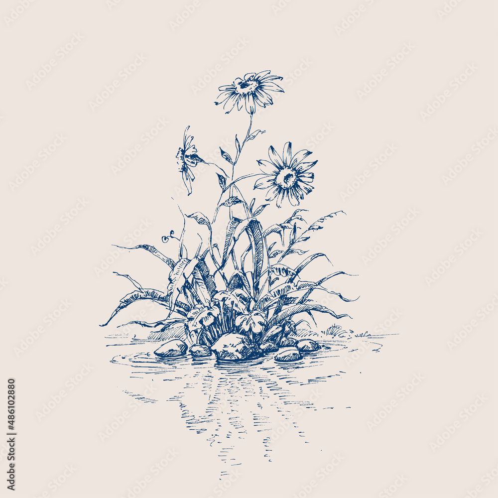 Spring flowers growing, water reflection hand drawing. Decorative graphic design element Spring flowers growing, water reflection hand drawing. Decorative graphic design element