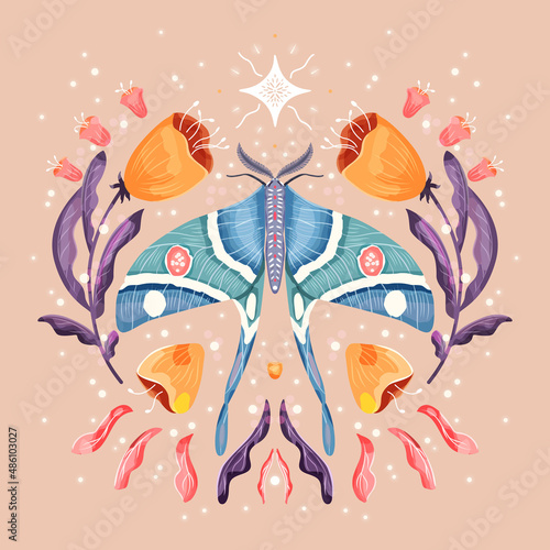 Moth and floral motifs, pattern design in symmetry. Colorful flat vector illustration with moth, flowers, floral elements and stars.
