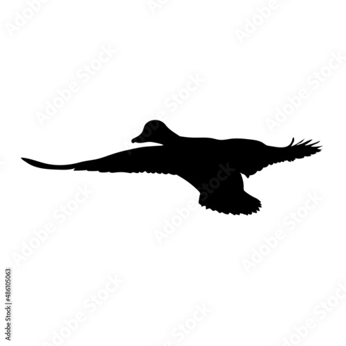 Black silhouette of a flying duck. Vector.