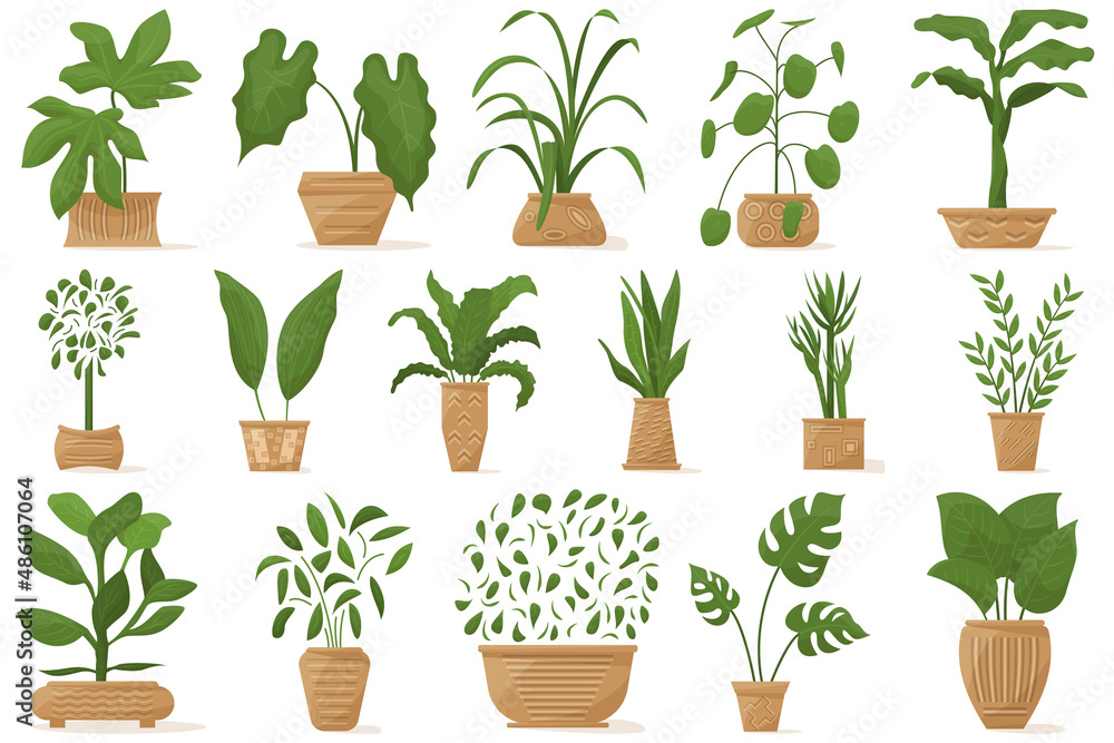 Potted plant for home and office. A diverse indoor plant in a ceramic pot with decor. Set of vector icons, cartoon, isolated