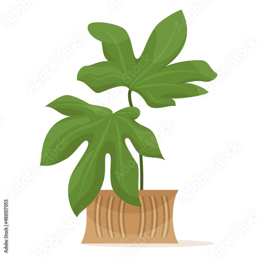 Potted plant for home and office. A houseplant with large green leaves. Ceramic flower pot with decor. Vector icon, cartoon, isolated