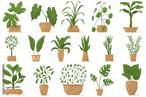 Potted plant for home and office. A diverse indoor plant in a ceramic pot with decor. Set of vector icons, cartoon, isolated