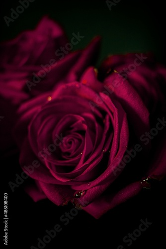 bouquet of red roses with dew drops on petals on a table on a black background, magical feelings for valentine's day